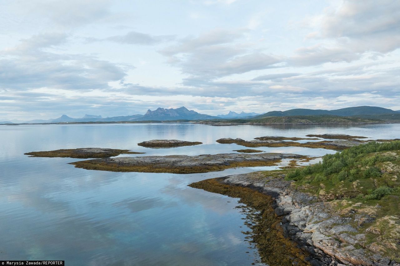 Morskie fale upałów. Wyzwanie dla Norwegii