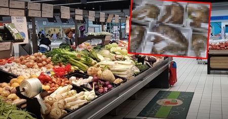 Wstrząsający widok w E. Leclerc. Zdjęcia mówią same za siebie