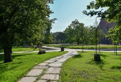 Wrocław. Rok zielonych projektów. Aż 26 mln zł do wydania