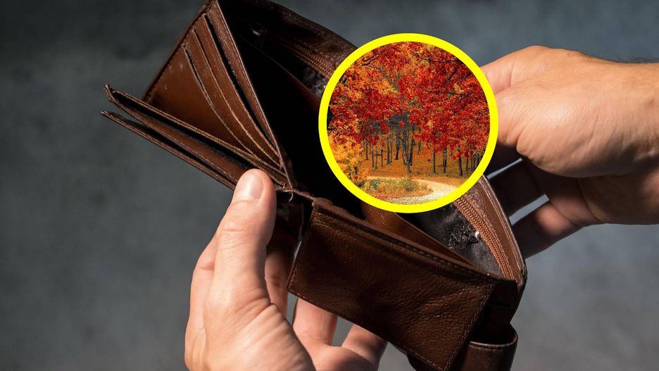 Nie masz pieniędzy? Naukowcy mają rozwiązanie