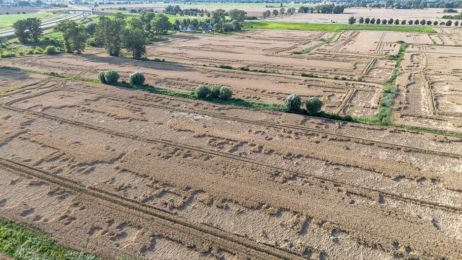 KOWR podaje, że 80 proc. gruntów z państwowego zasobu jest dzierżawiona