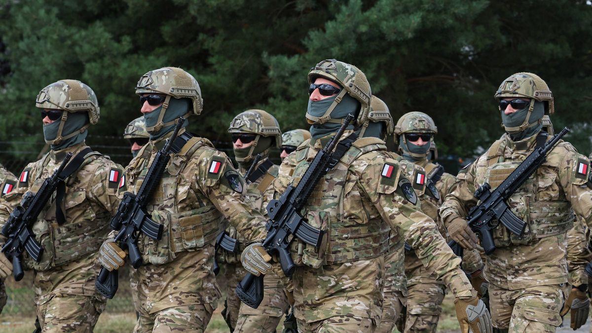 Polscy żołnierze w Ukrainie? Zdecydowana odpowiedź Polaków