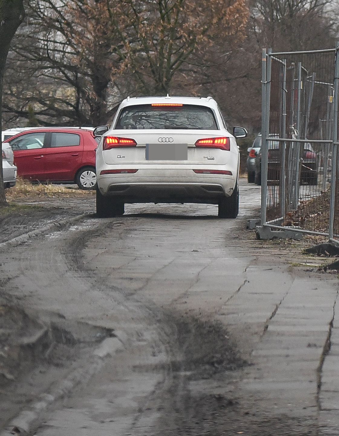 Małgorzata Ostrowska-Królikowska