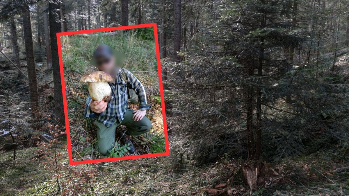 Wielki okaz i radość grzybiarza