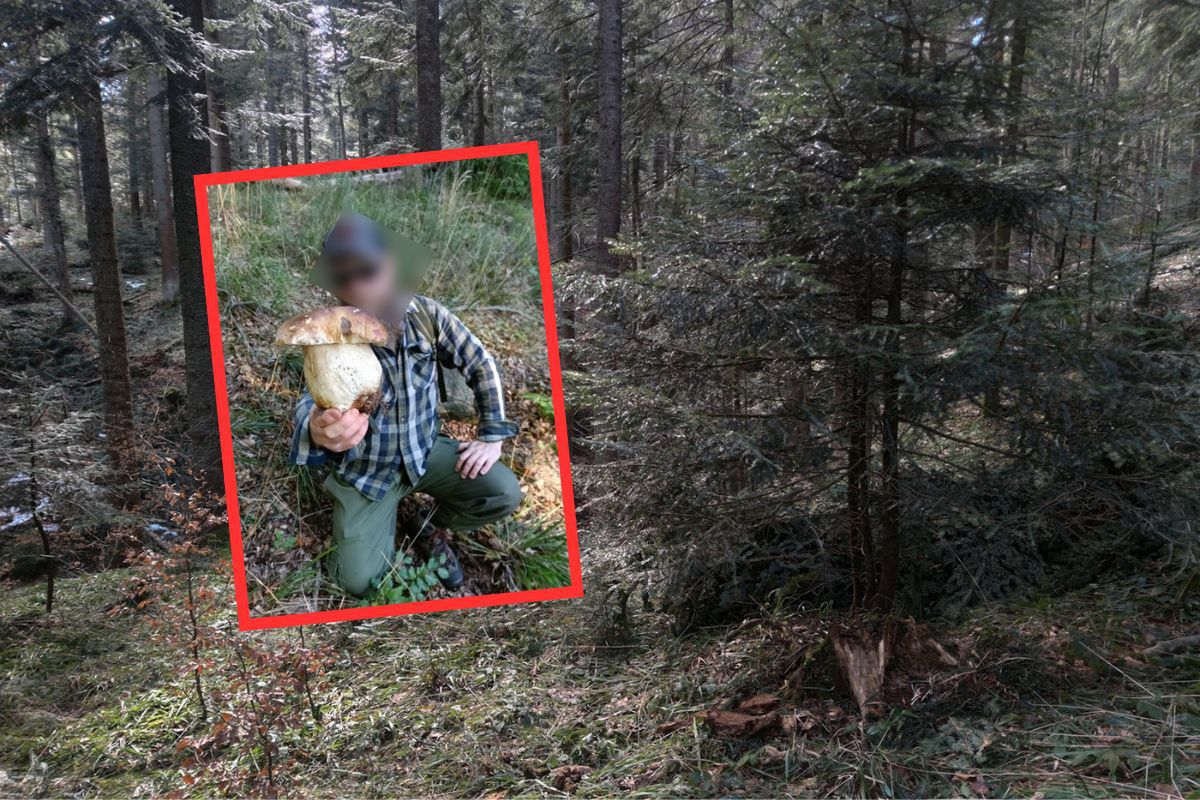 Borowik jak z bajki. Zdjęcie grzybiarza podbija Facebooka