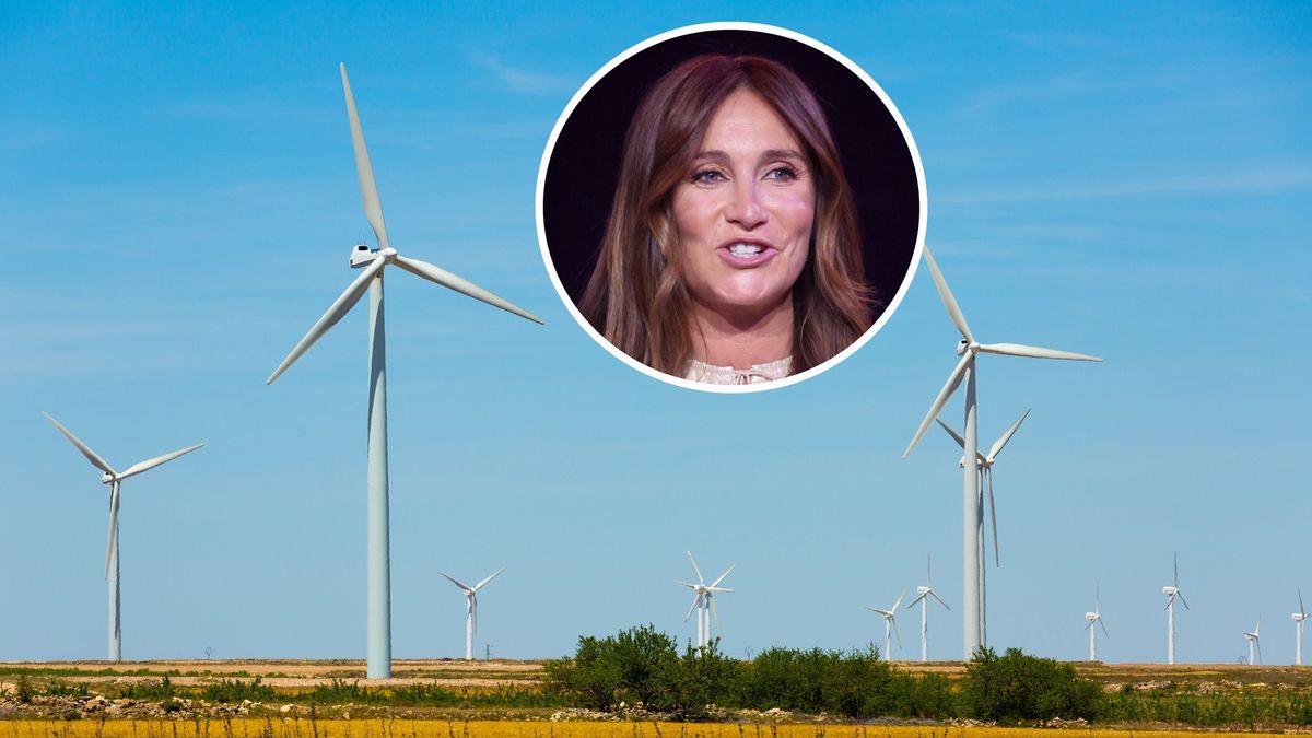 Zmiany w Polenergii (zdj. ilustracyjne; w kółku Dominika Kulczyk)