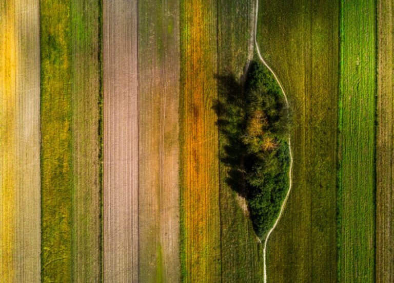Polak nagrodzony za zdjęcie roku w prestiżowym konkursie Drone Awards 2019 3