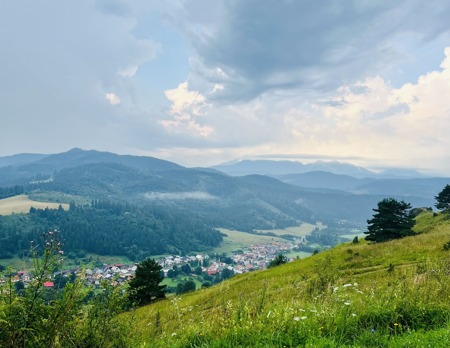 Panorama Pienin