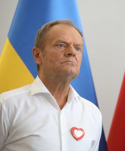 Hołownia ogłosił kandydaturę. Tusk zareagował