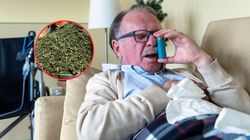 Leczy przeziębienie, reguluje trawienie i przyspiesza gojenie się ran. Właściwości hyzopu lekarskiego