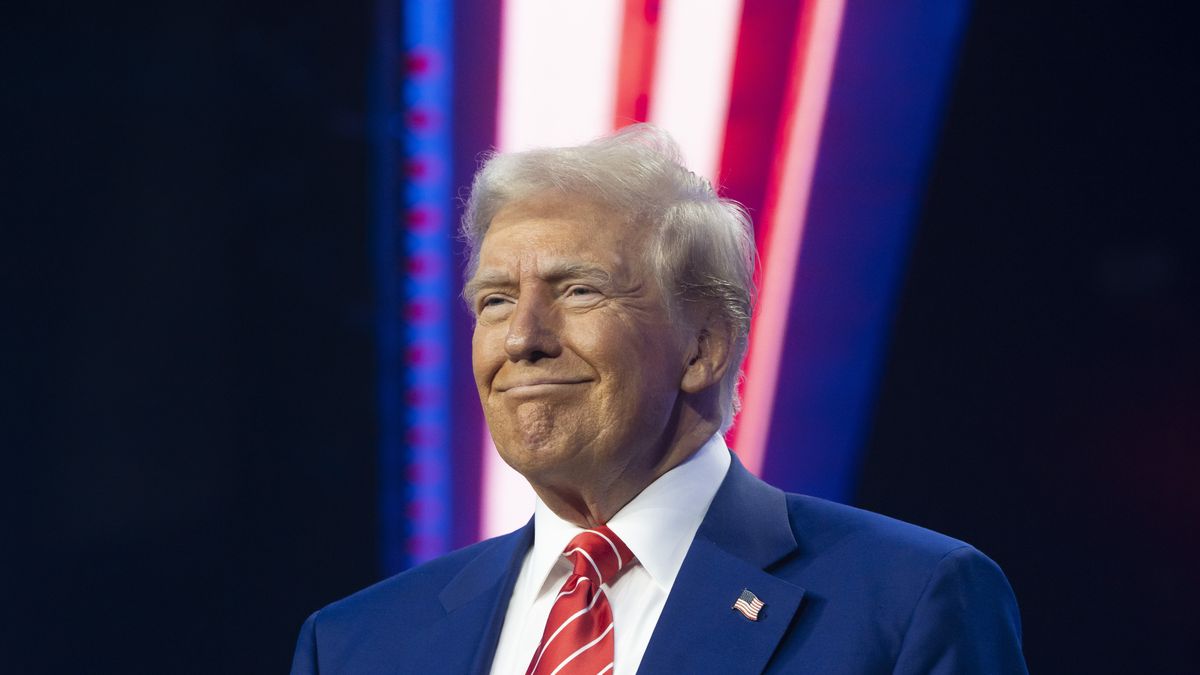 Donald Trump wygrał wybory w listopadzie 2024 roku na prezydenta USA