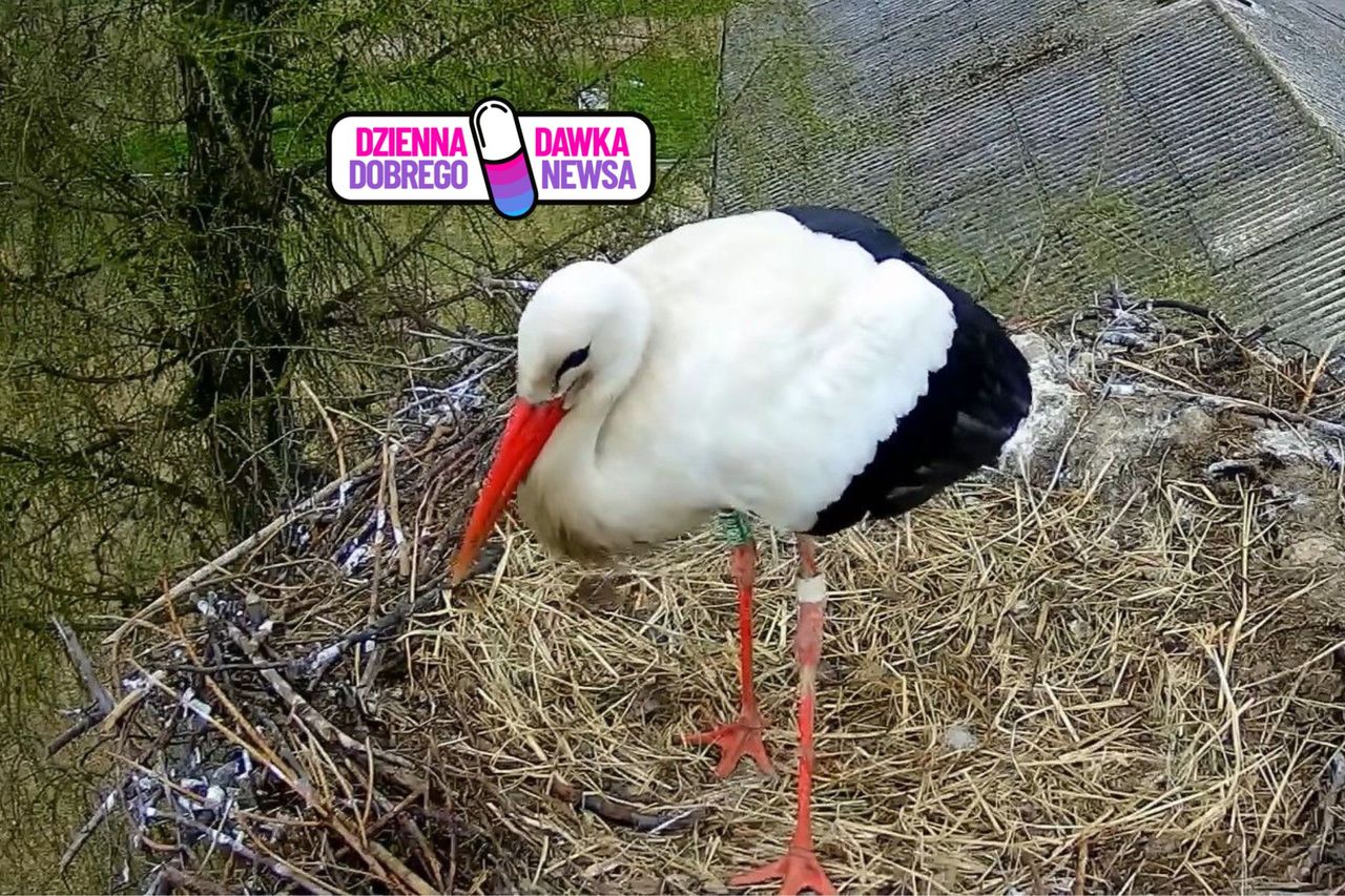 Poraził go prąd. Uratowali mu życie. Po 4 latach wrócił. Płyną łzy