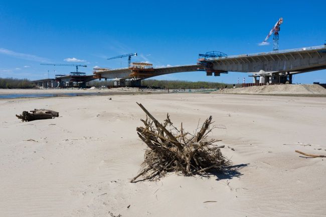 Ceny żywności wzrosną. Powodem susza