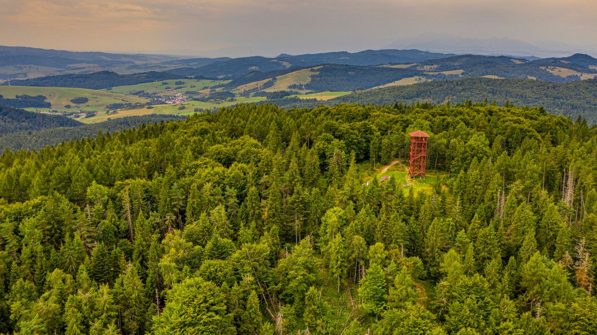 Eliaszówka z lotu ptaka