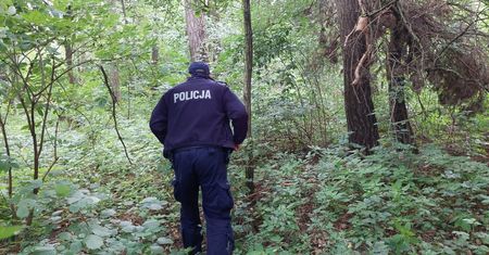 Dziadek zabrał wnuka na grzyby. Po chwili rodzina wezwała służby