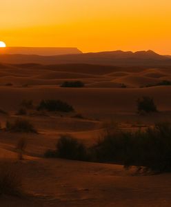 Algieria ukończyła budowę nowej wojskowej bazy lotniczej. Pomogła Rosja
