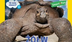 „National Geographic Odkrywca” po relaunchu dostępny w kioskach