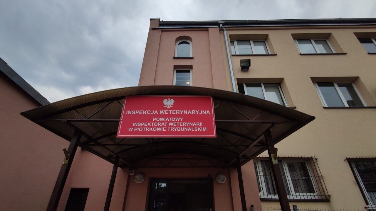 Inspekcja weterynaryjna w Piotrkowie Trybunalskim wydała zalecenia dla mieszkańców powiatu