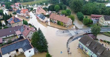 Ogromne straty na polach. "Naprawdę płakać się chce"
