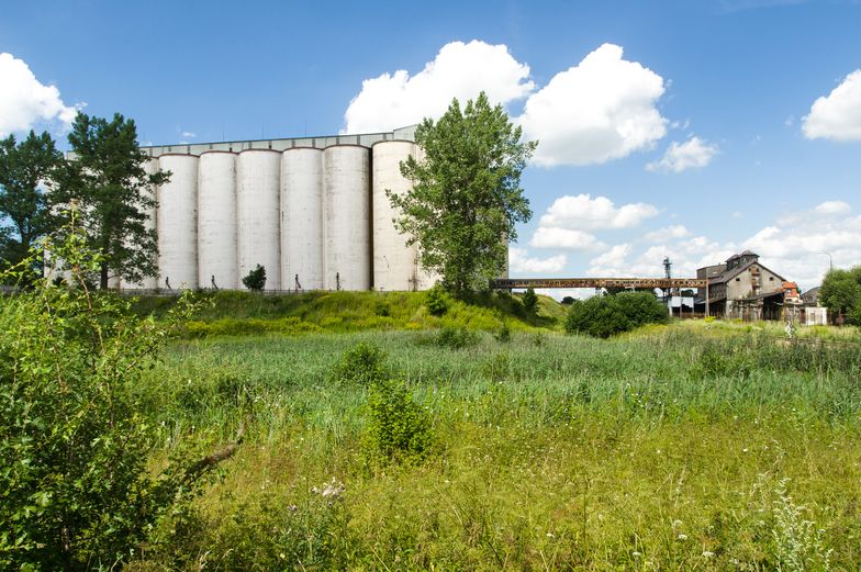 Afera ELEWARR-u. NIK rekomenduje likwidacje spółki