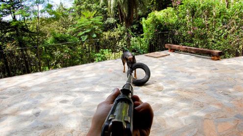 Obrońcy praw zwierząt nie lubią CoD World At War 1