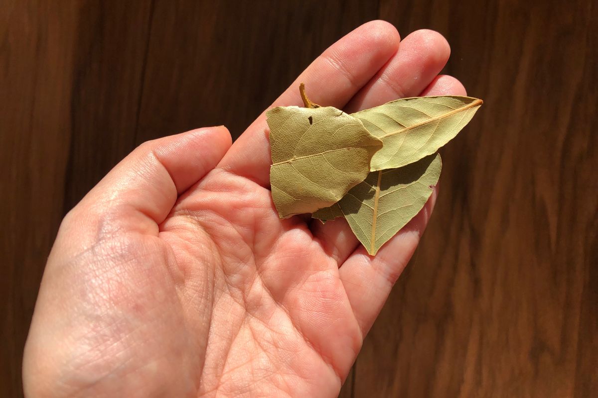 A bay leaf will help you deal with a troublesome problem.