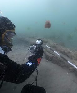 Wielkie odkrycie na dnie u wybrzeży Anglii. Znaleziono historyczny ster