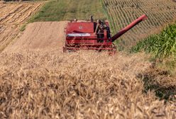 Żniwa rekordowo szybkie. Rolnicy powoli zmierzają do końca