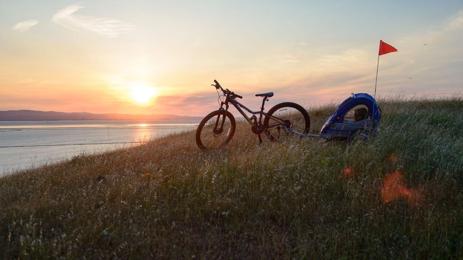 Przyczepki rowerowe dla dzieci cieszą się coraz większą popularnością