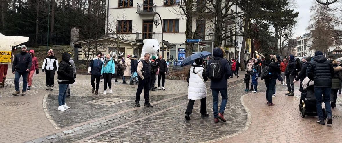 Nieprzyjemna niespodzianka w Zakopanem. "Najstarsi górale czegoś takiego nie pamiętają"