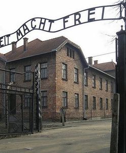 Dlaczego 98 proc. kobiet w obozach koncentracyjnych przestało miesiączkować?