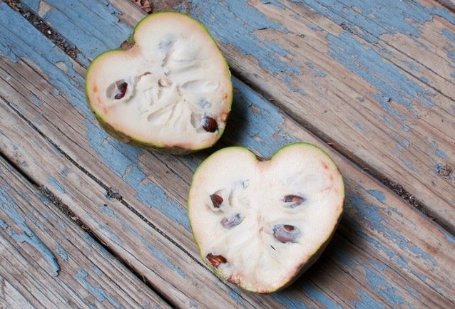 Cherimoya