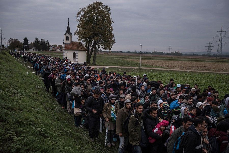 Przyznano Nagrody Pulitzera 2016 w kategoriach dziennikarstwa wizualnego 6