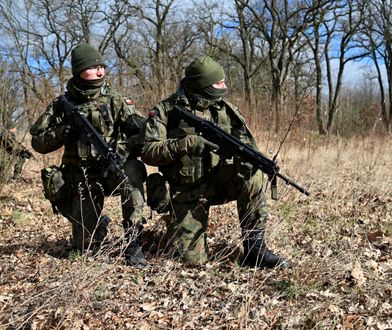 Wojska Obrony Terytorialnej: Od "armii Macierewicza" do uznania za świetną służbę