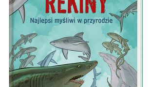 Rekiny – najlepsi myśliwi w przyrodzie