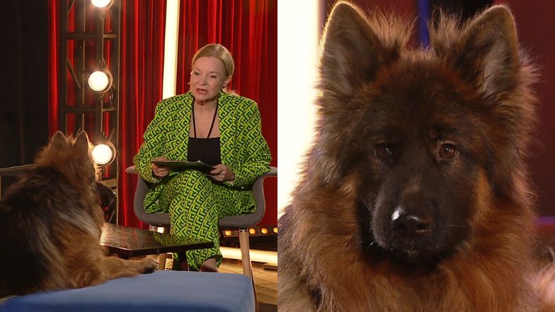 TVP nagrała wywiad z psem