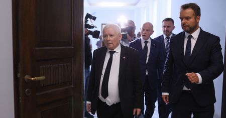 Trzęsienie ziemi w PiS na Dolnym Śląsku. "Wykluczeni radni zawieszeni"