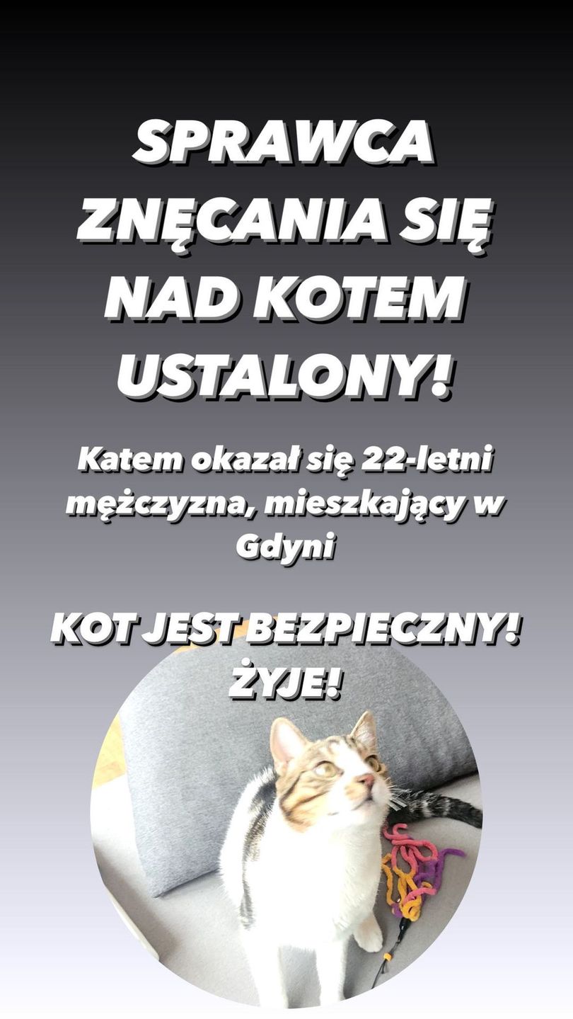 Sadysta, który znęcał się nad kotem ODNALEZIONY! Sam zgłosił się na policję