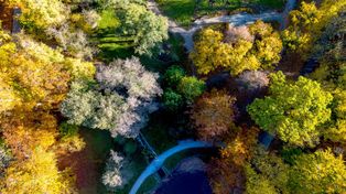 Gdańsk: Park Oruński w jesiennej szacie. Idealne miejsce na spacer, gdy pogoda dopisuje