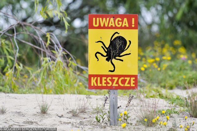 Kleszcze. To dopiero początek 