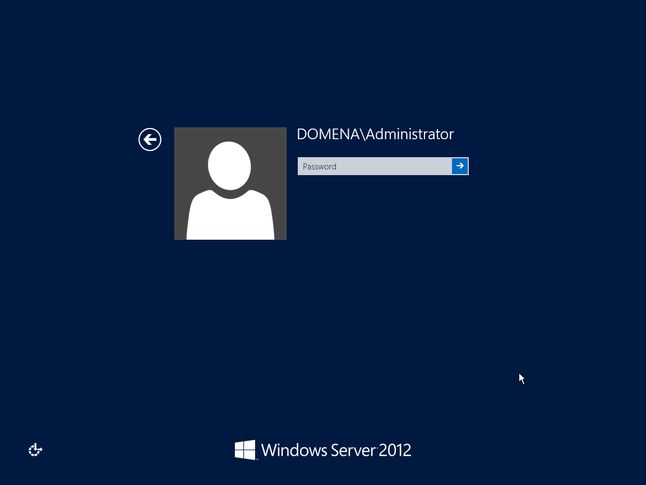 445803