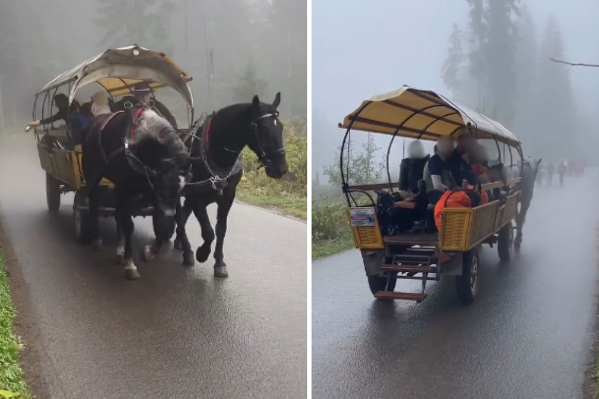 Zobaczyli nagranie z Tatr. W sieci zawrzało. "Wstyd i żenada"