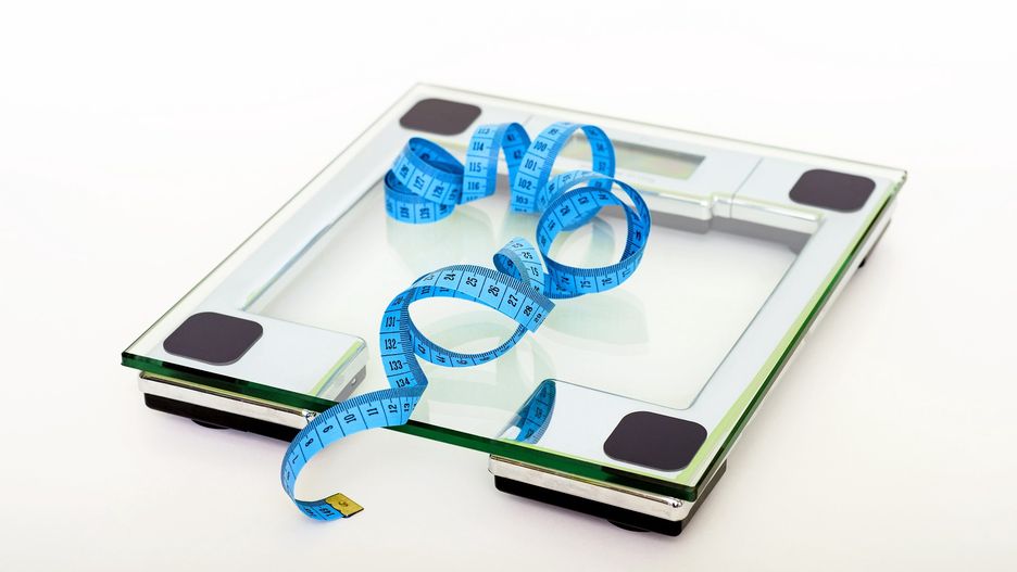 waga analiza składu ciała analizator pomiar treningi fit fitness