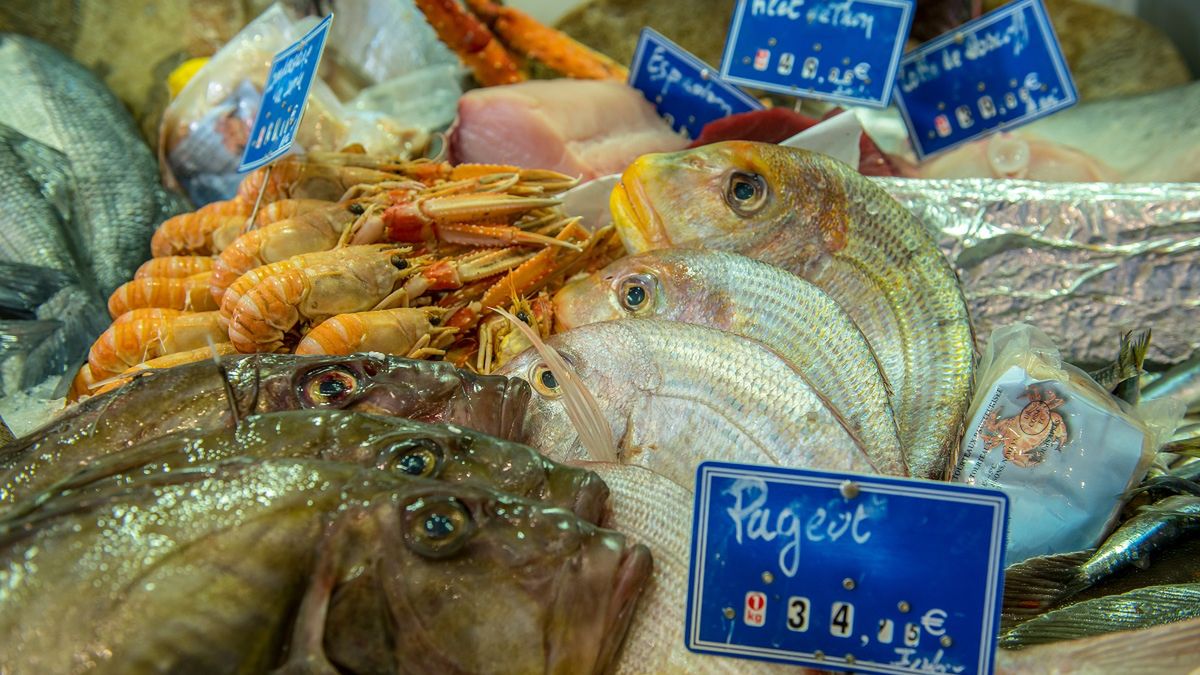 Zdjęcie ilustracyjne.   