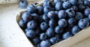 Są już pierwsze polskie borówki. Ceny nie zachęcają
