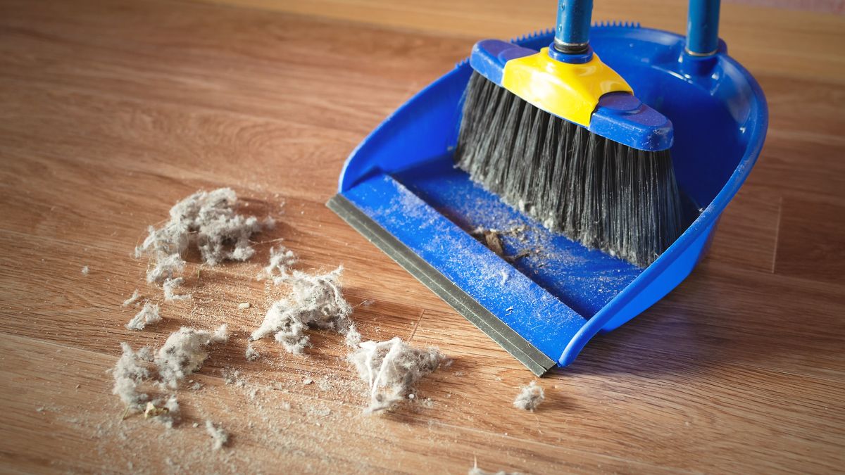brud kurz chaos Dust on a house floor and floor brush with dustpan background. Home cleaning concept.
floor, brush, sweep, broom, dust, sweeping, dustpan, shovel, spade, home, house, clean, cleaning, clear, dusty, dirty, domestic, indoor, cleanup, household, tool, dirt, housekeeping, chores, sweeper, background, backdrop, abstract, no, people, nobody, concept, mop, mopping