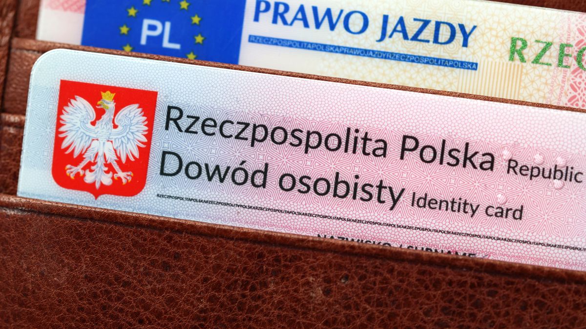DAREK11
dokument, prawo jazdy, licencja, kiewanie, polska, pojazd, samochód, kierowca, szofer, uprawnienia, kodeks, drogowy, pozwolenie, transport, kurs, egzamin, wypadek, przepisy, kodeks drogowy, przepisy drogowe, regulacje, drogówka, korki, nauka jazdy, druk, napis, znak, symbol, identyfikacja, dowód osobisty, kategoria a. b, osobowy, jazda, pijany, zabrane prawo jazdy, badania, kierowców, wydanie prawa jazdy, stop, kontrola, kara