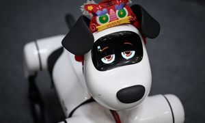 Chiny wyprzedzą USA? Pekin stawia na kluczową technologię
