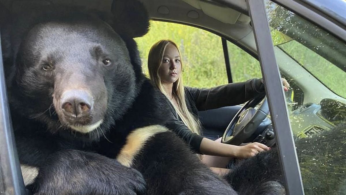 24-letnia Weronika Diczka wybiera się z Toptyżką na przejażdżki 