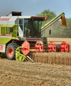 Żniwa 2025. Rolnicy dopłacą potężne pieniądze. Padły liczby
